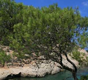 Die kleine versteckte Bucht