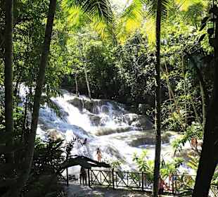 Wasser-Kaskaden im Wald