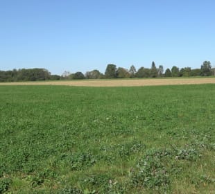 Kelten-Erlebnis-Pfad Erkenbrechtsweiler