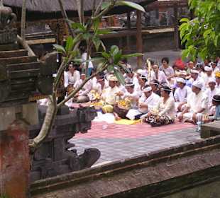 Bali Foto-Safari / Bali Super Reisen