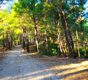 Sulahikulle - Vergessene Stadt