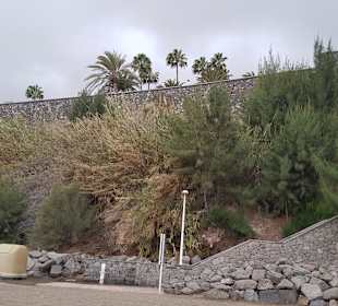 Strand Playa del Ingles