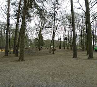 Biergarten  Waldkater