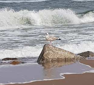 Strand Dievenow/Dziwnowek