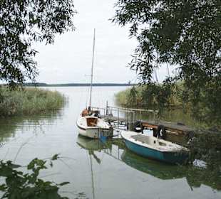 An der Peene