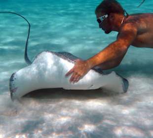 Stingray City