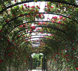 Schlosspark Schönbrunn