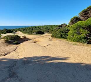 Seven Hanging Valleys Trail 