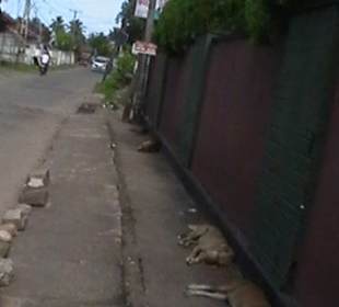 Stadtrundgang Dharga Town