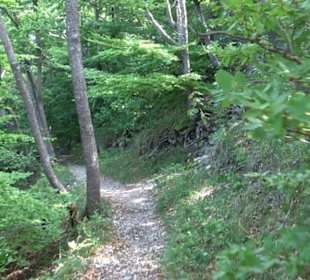 Tour entlang der Traifelbergfelsen