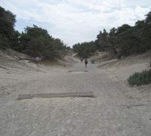 Auf der Insel Chrissi-Island