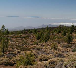 Teide Nationalpark