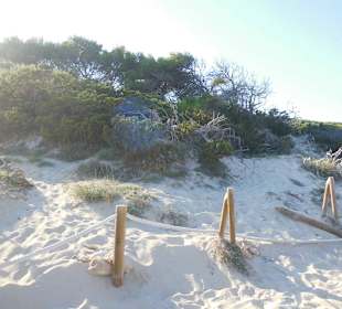 Dünen von Cala Guya