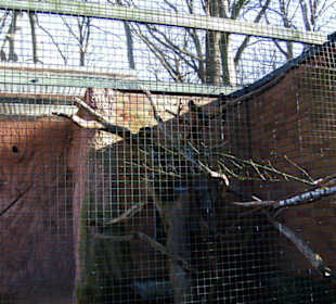 Zoo Dortmund - Die Tiere
