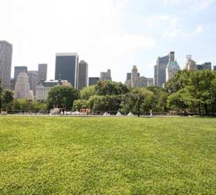 Central Park mit Skyline