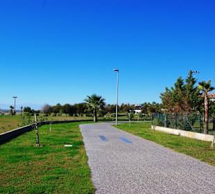 Aufgenommen am 29.11.2013