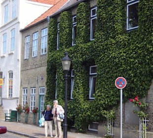 Ein Rundgang durch die "Rosenstadt" im Sommer 