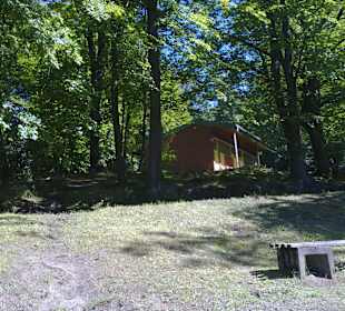  Bärenlochweiher in Kindsbach