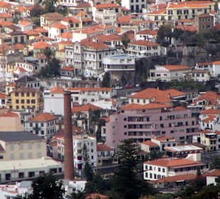 View from the botanical garden