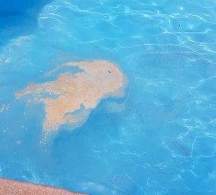 Schmutziges Wasser im Aquamar