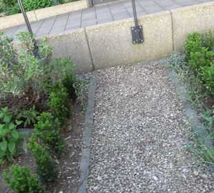 Medizinalgarten Nördlingen