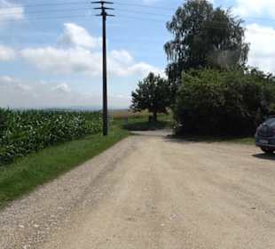 Wacholderheide Hoher Stein