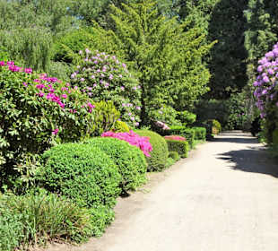 Rundgang über den Friedhof Nienstedten