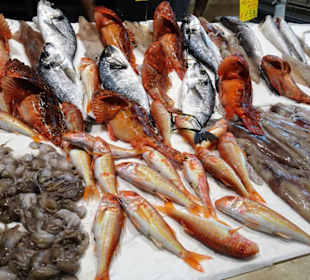 Rundgang durch den Mercato Civico di San Benedetto