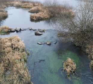 Wandern Waldmünchen