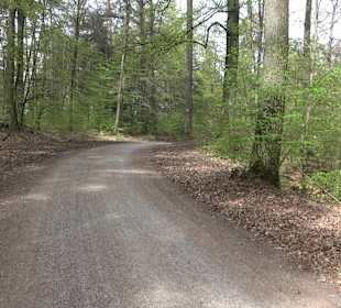 Walderlebnisweg Rottenburg