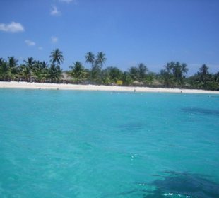 Isla Saona