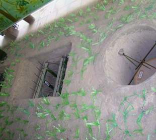 Vietcong Fallen