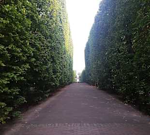 Palmiarnia Park Oliwski