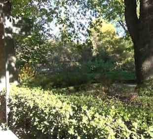 Real Jardín Botánico de Madrid