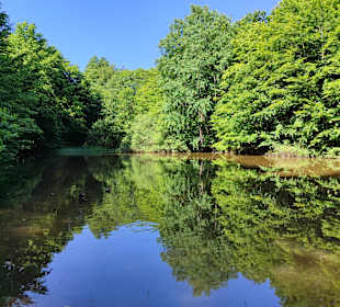 Waldsee