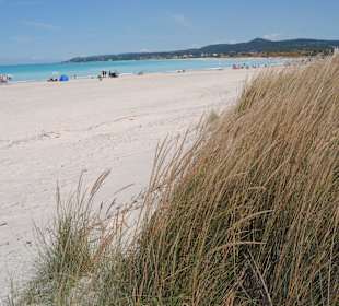 Spiagge bianche Vada, 5 km dall'Hotel Leopoldo