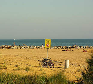 Sicht zum Strand vom Weg aus