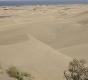 Dünen Maspalomas