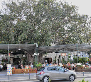 Jedna z kafejek przy porcie