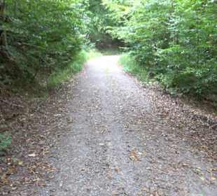 Altwege Rundwanderung Bebenhausen