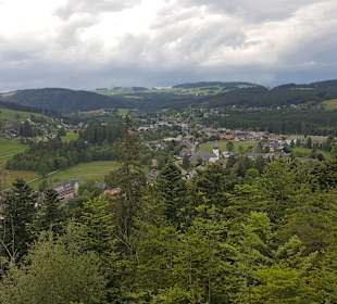 Wandern Hinterzarten