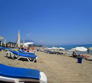 Manche stellen steinig im Meer