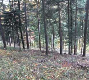 Geschichtslehrpfad Streichen