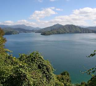Blick auf den Queen Charlotte Sound