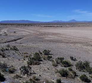 Pampa Cañahuas