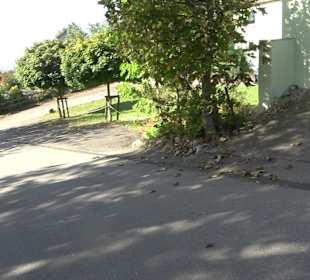 Der Bussen - heiliger Berg Oberschwabens Offingen