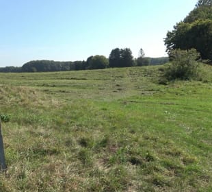 Elsachstadt Tor F Burrenhof Erkenbrechtsweiler