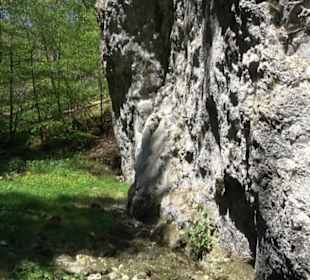 Premiumwanderweg Hochgehschätzt