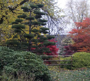 Parkanlage Planten un Blomen