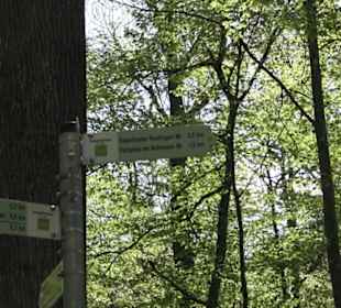 Wanderweg Hochgehwachsen